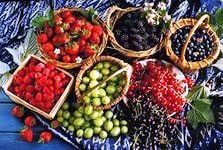 Схема вышивки «ягоды»