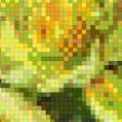 Предпросмотр схемы вышивки «Цвяты» (№879146)