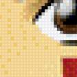 Предпросмотр схемы вышивки «Мононоке» (№879306)