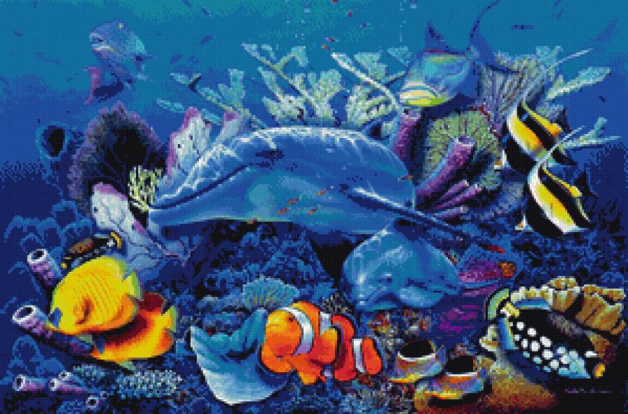 краски морского дна - водоросли, океан, дельфин, море, дно, краски, рыбы - предпросмотр