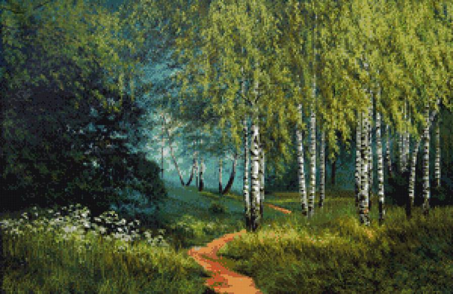 Тропинка средь берез - береза, лес, пейзаж, природа - предпросмотр