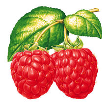 Схема вышивки «малинка»