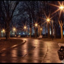 Схема вышивки «Ночная аллея»