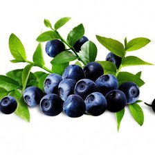 Схема вышивки «черника»