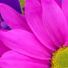 Цветы. Часть 1