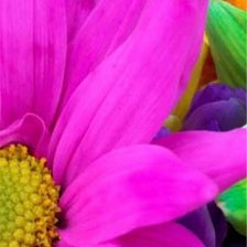 Цветы. Часть 2