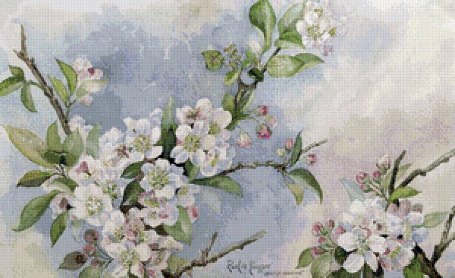 вишнёвый цвет - вишня, цветы, ветка, нежность, весна - предпросмотр