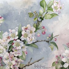 Схема вышивки «вишнёвый цвет»