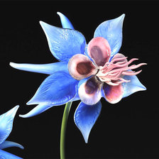 Схема вышивки «Цветы»