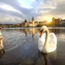Схема вышивки «Лебеди»