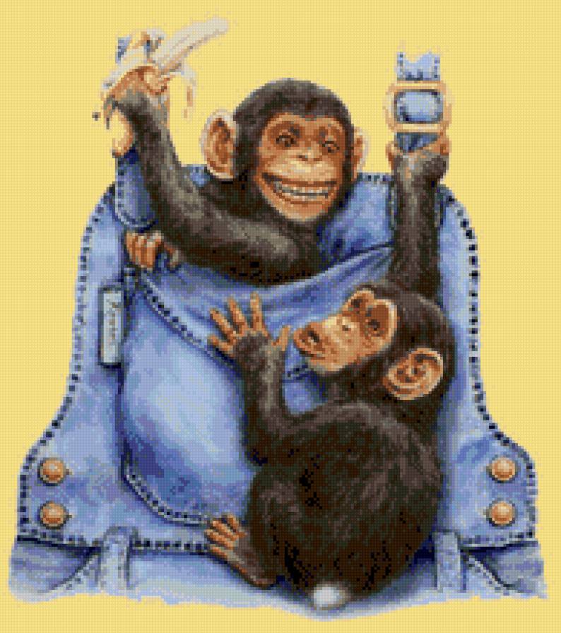 Обезьянки в рюкзачке - предпросмотр