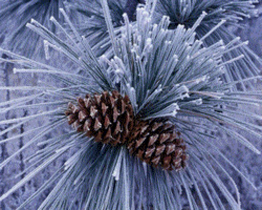 Зимняя сказка - зима, сказка - предпросмотр