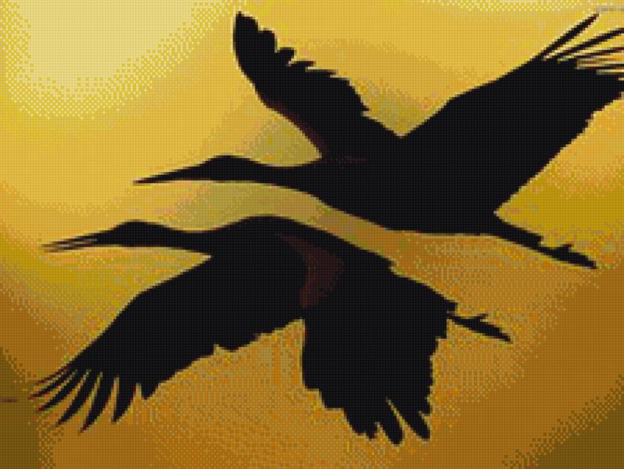 Аисты - аист - предпросмотр