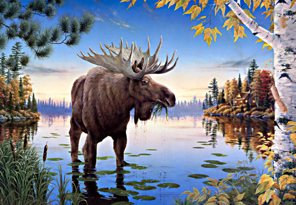 Лось - лось - оригинал