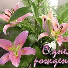 Схема вышивки «с днём рождения!лилии»