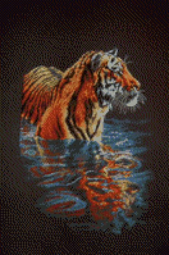 Тигр - дикие кошки - предпросмотр