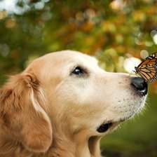 Схема вышивки «дружба»