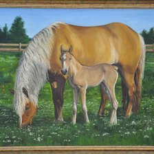 Схема вышивки «под защитой»