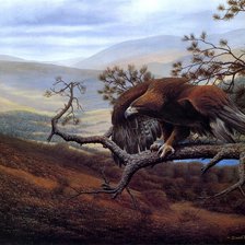 Схема вышивки «горный орёл»