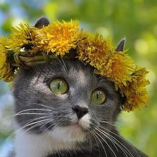 Схема вышивки «котик с венком»