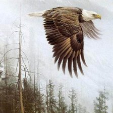 Схема вышивки «полет»