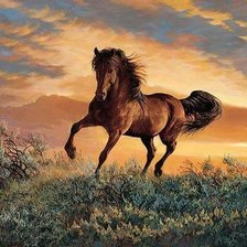 Схема вышивки «свобода»