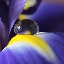 Схема вышивки «№881335»