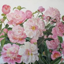 Схема вышивки «нежные пионы»