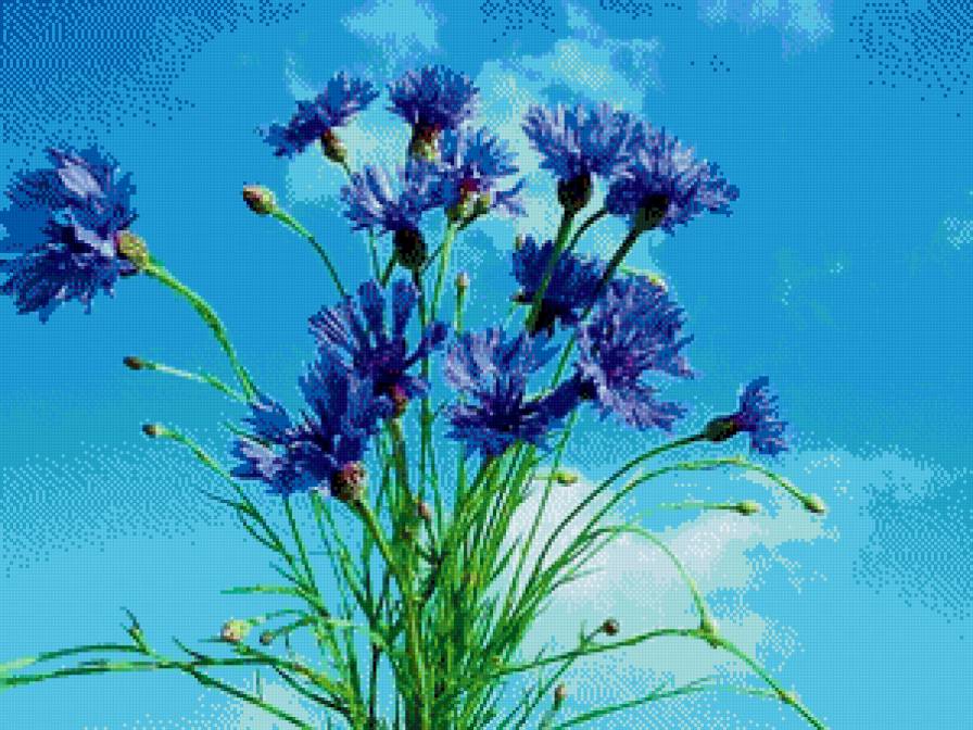 Васильки - настроение, васильки, цветы - предпросмотр