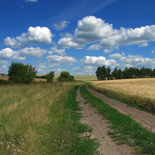 родные просторы