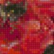 Предпросмотр схемы вышивки «Маки и стрекоза» (№882191)