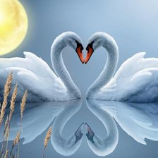 Схема вышивки «серия "птицы"»