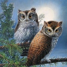 Схема вышивки «серия "птицы"»