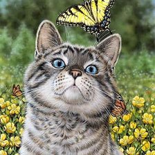 Схема вышивки «Кот с бабочкой»