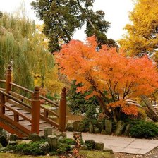 Схема вышивки «№882541»