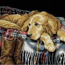 Схема вышивки «одинокий пес»