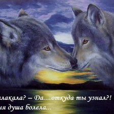 Схема вышивки «волки»