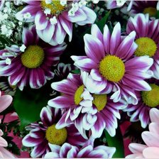 цветочное панно