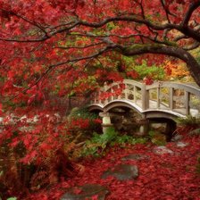 Схема вышивки «осень в саду»