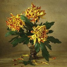 Схема вышивки «хризантемы»