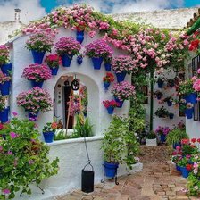 уютный садик