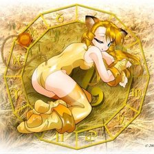 Схема вышивки «лев»