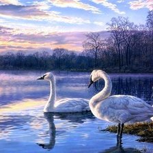 Схема вышивки «лебеди»