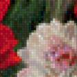 Предпросмотр схемы вышивки «Георгины по картине В. Кирьяновой» (№883355)