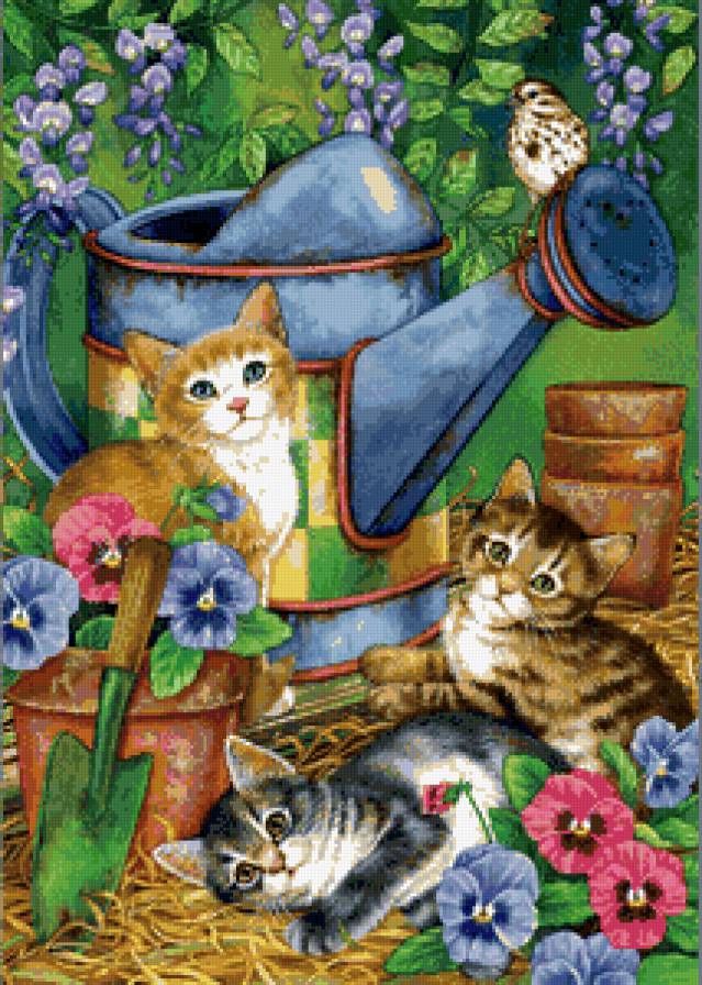 красавчики - коты, котики - предпросмотр