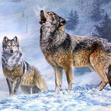 Схема вышивки «ВОЛК 2»