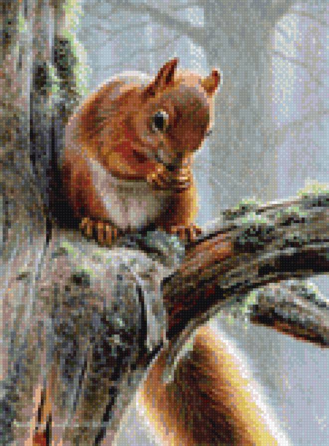 Белочка - белка - предпросмотр