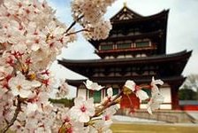 Схема вышивки «Япония»