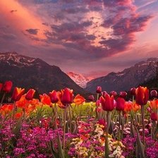 Схема вышивки «№883859»