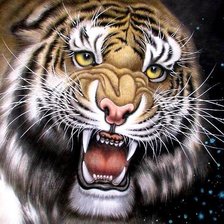 Схема вышивки «Тигр»